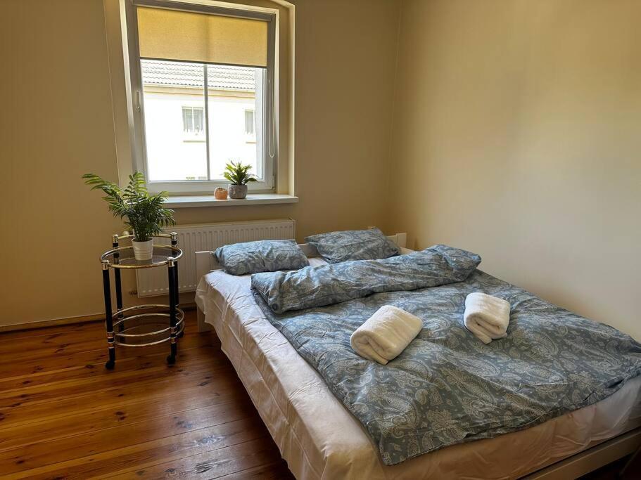 Ferienwohnung Jelenizen Jelenia Góra Exterior foto
